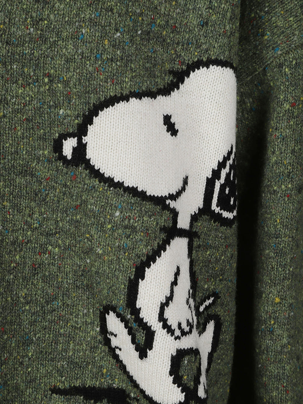 SASI DONEGAL - PEANUTS 