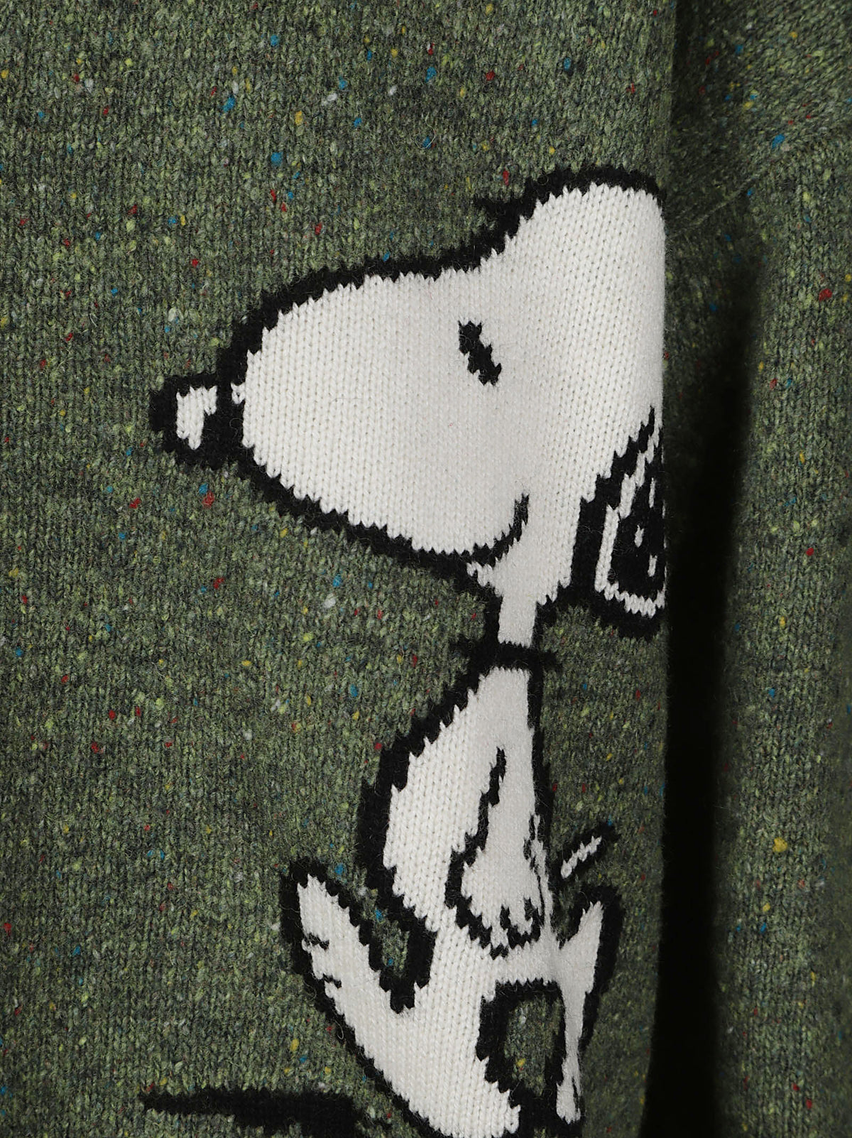 SASI DONEGAL - PEANUTS 